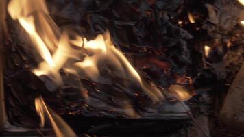 un Aperto libro ardente nel un' fuoco di asciutto veterinari a notte nel un antico edificio nel orientale stile video