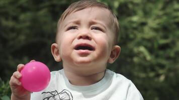 A little boy in a shorts and shorts sits on the grass in the park and plays with a plastic ball. video