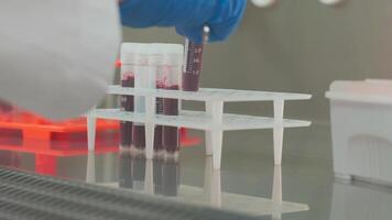 Work on samples of substances is carried out in the laboratory video