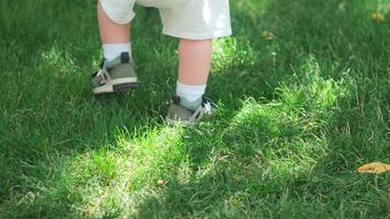 das Füße von ein wenig Junge im Sandalen Gehen auf das Gras auf ein Sommer- Tag video