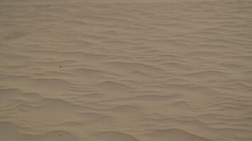 Panorama von Sand Dünen im das Wüste in der Nähe von Dubai, Vereinigte Arabische Emirate video