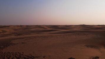 Drone flight on desert sand dunes at sunset video