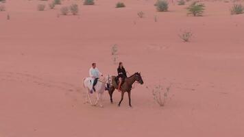 A drone flies over two horsemen riding on desert sand among green bushes video