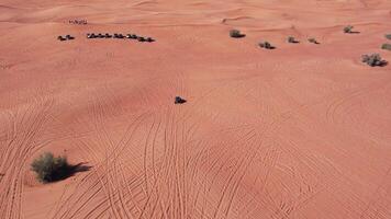 une drone mouches plus de une petit chariot conduite par le le sable dunes de le désert video