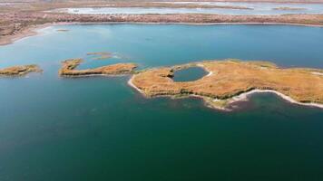 drone vol plus de le îles couvert avec roseaux video