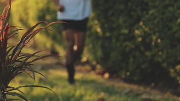 sportlich Läufer tun Dehnen Übung, vorbereiten zum Laufen im das Natur mit das Stadt im Hintergrund. gesund Lebensstil video