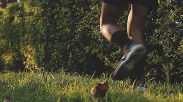 atletisch loper aan het doen uitrekken oefening, voorbereidingen treffen voor rennen in de natuur met de stad in achtergrond. gezond levensstijl video