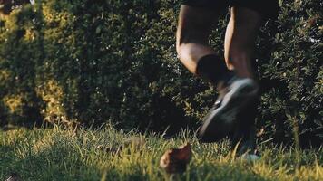 atlético corredor haciendo extensión ejercicio, preparando para corriendo en el naturaleza con el ciudad en antecedentes. sano estilo de vida video