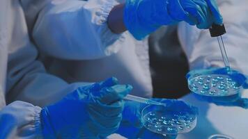 Female Research Scientist Uses Micropipette Filling Test Tubes. Scientist Works in a Team of Scientists Trying to Cure Deadly Disease, They Work in a Big Laboratory Research Center. video