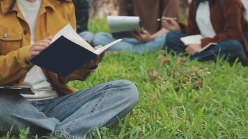 gruppo di contento giovane asiatico Università studenti seduta su un' panca, guardare a un' il computer portatile schermo, discutere e di brainstorming su loro scuola progetto insieme. video