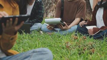 grupo do feliz jovem ásia Faculdade alunos sentado em uma banco, olhando às uma computador portátil tela, discutindo e debate em seus escola projeto junto. video