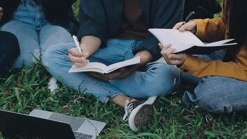 gruppo di contento giovane asiatico Università studenti seduta su un' panca, guardare a un' il computer portatile schermo, discutere e di brainstorming su loro scuola progetto insieme. video