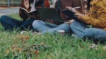 Group of happy young Asian college students sitting on a bench, looking at a laptop screen, discussing and brainstorming on their school project together. video