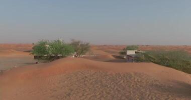 un zumbido capturas camellos cerca un alminar en un cubierto de arena Desierto ciudad video