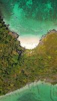 Haut vue de tropical turquoise baie sur phi phi île, Thaïlande video