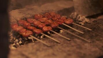 Viande kebab sur brochettes est frit sur le gril video