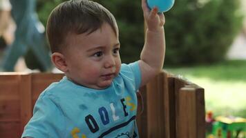 A little boy and his mother are playing with colorful balls in a wooden aviary on the lawn. Summer, sunny day video