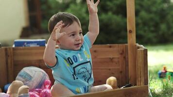 A little boy and his mother are playing with colorful balls in a wooden aviary on the lawn. Summer, sunny day video