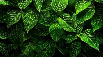 AI generated Lush greenery of vibrant dark green leaves in close-up photo