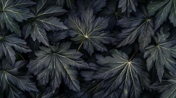 AI generated Lush greenery of dense dark leaves in natural patterns photo