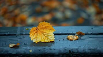 AI generated Autumn leaf lying on wet wooden bench in park photo