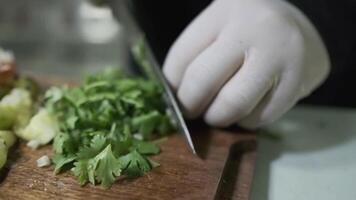 un cocinero en blanco guantes cortes verduras, cilantro, perejil, eneldo en un corte tablero con un cuchillo video