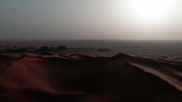 homme permanent sur une grand le sable dune dans le désert video