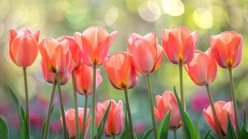 AI generated Pink flowers clustered in grass photo