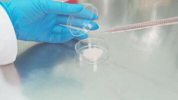 Work on samples of substances is carried out in the laboratory video