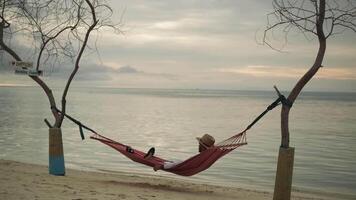 A young man in light water gets up from a hammock stretched between trees on the ocean. Sandy beach, against the background of the waves of the sea and cloudy sky. Maldives. video