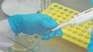 Work on samples of substances is carried out in the laboratory video