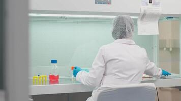 Work on samples of substances is carried out in the laboratory video