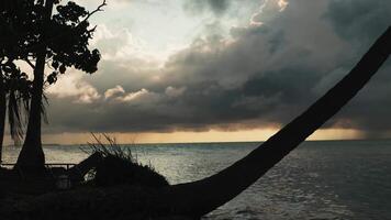 lindo nublado pôr do sol sobre tropical mar. dentro a fundo do isto é a arenoso costa e Palma árvores video