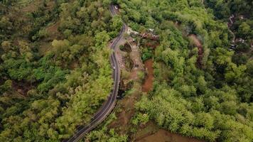 aéreo vista, asfalto la carretera devanado mediante bosque y campo. foto