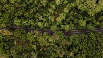 aerial view, asphalt road winding through forest and countryside. photo