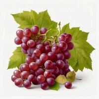 AI generated Red grapes with leaf. Red Realistic Red grapes. Grapes fruit photography. Grapes photo white background.