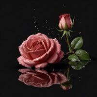 AI generated Romantic rose.Pink rose on water glass table.rose realistic photography.glass shadow.drop of water water in Pink rose . photo