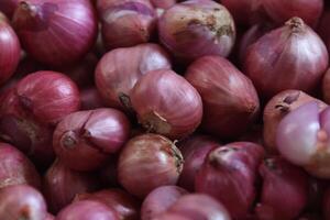 Fresh red Onion photo