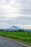 Beautiful landscape view of green paddy rice field with a mountain in the background. Seulawah mountain view in Aceh Besar, Indonesia. photo