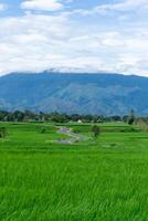Beautiful landscape view of green paddy rice field with a mountain in the background. Seulawah mountain view in Aceh Besar, Indonesia. photo