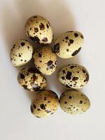 Quail eggs. Group of quail eggs on a white background photo