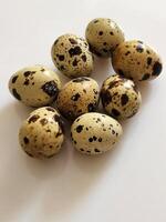 Quail eggs. Group of quail eggs on a white background photo