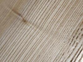 Ash wood. Ash wood texture. Wood background photo