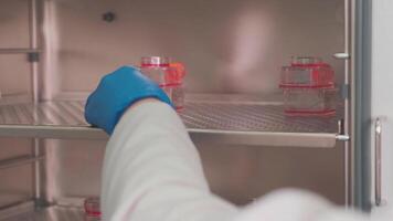 Covid vaccine samples in the round containers video