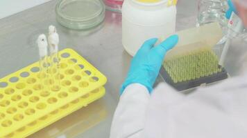 Work on samples of substances is carried out in the laboratory video