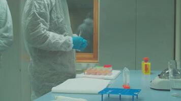 Work on samples of substances is carried out in the laboratory video