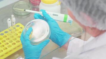 Work on samples of substances is carried out in the laboratory video