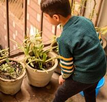 linda 5 5 año antiguo asiático pequeño chico es riego el planta en el ollas situado a casa balcón, amor de dulce pequeño chico para el madre naturaleza durante riego dentro plantas, niño plantando foto