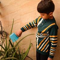 linda 5 5 año antiguo asiático pequeño chico es riego el planta en el ollas situado a casa balcón, amor de dulce pequeño chico para el madre naturaleza durante riego dentro plantas, niño plantando foto