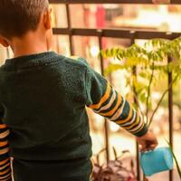 Cute 5 year old Asian little boy is watering the plant in the pots located at house balcony, Love of sweet little boy for the mother nature during watering into plants, Kid Planting photo